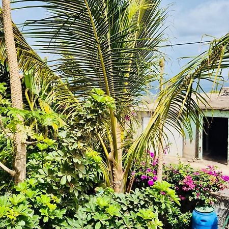 Casa Chiquinha Lägenhet Ribeira da Prata Exteriör bild