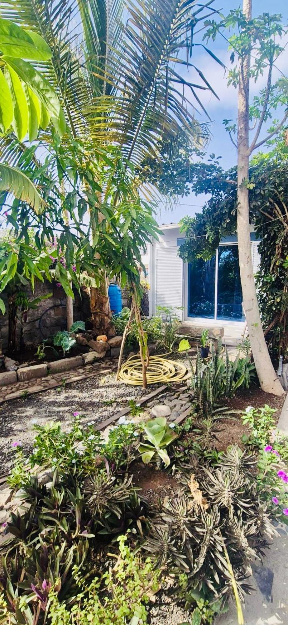 Casa Chiquinha Lägenhet Ribeira da Prata Exteriör bild