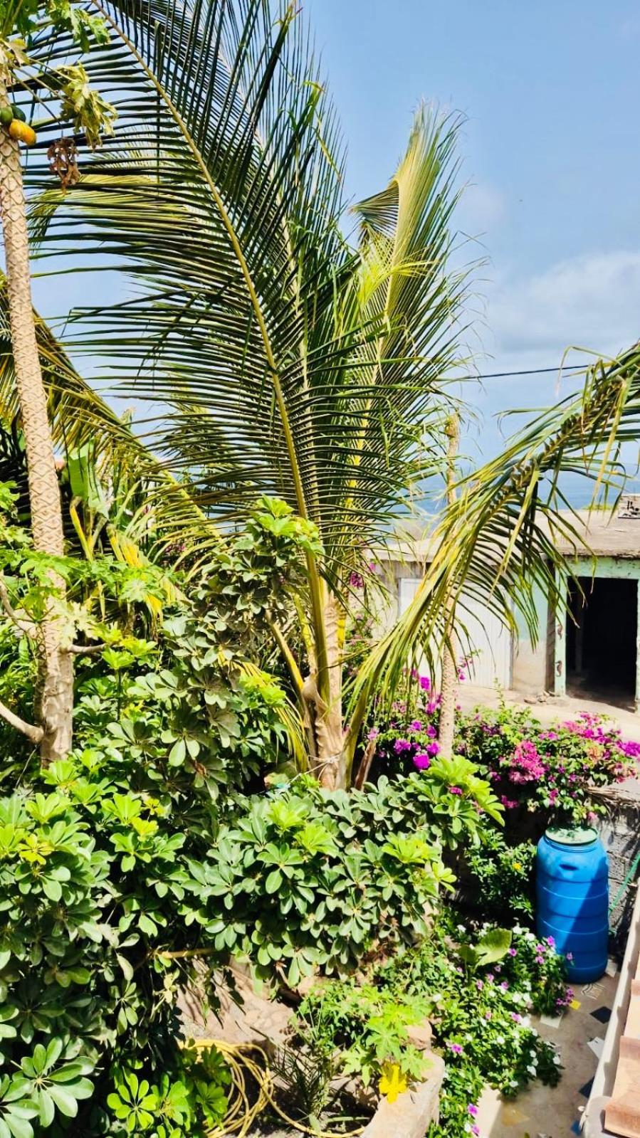Casa Chiquinha Lägenhet Ribeira da Prata Exteriör bild